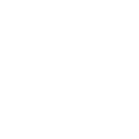 store-icon
